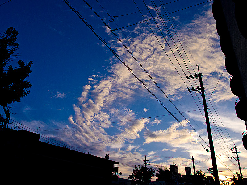 07sky_himono120609.jpg